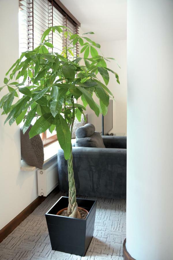 Szucha Apartments วอร์ซอ ภายนอก รูปภาพ